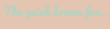 Image with Font Color ABD6C5 and Background Color E3C5B1